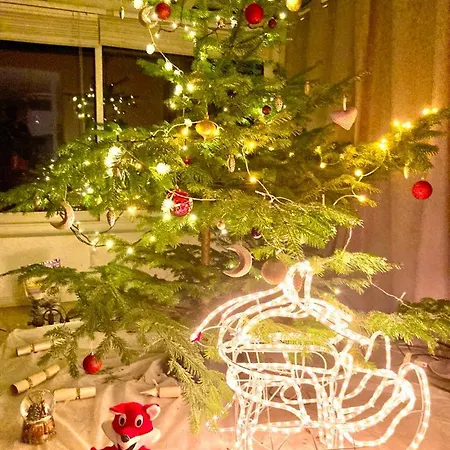 Cheerful With Fireplace, Bath-tub And Garden 别墅 *