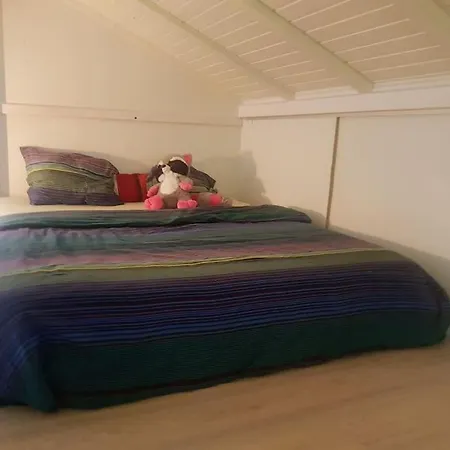 Cheerful With Fireplace, Bath-tub And Garden *