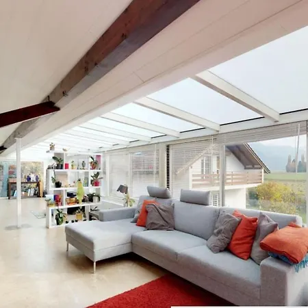 Cheerful With Fireplace, Bath-tub And Garden *