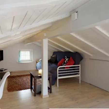 Cheerful With Fireplace, Bath-tub And Garden *